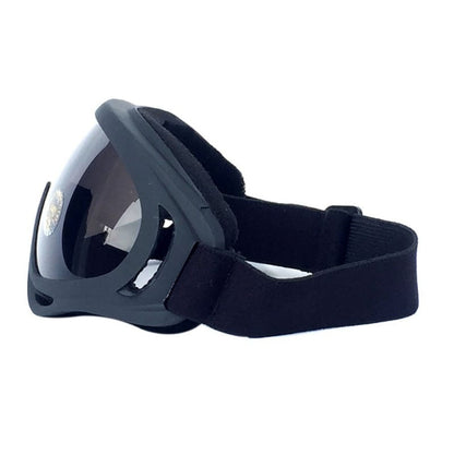 Men & Women Ski Snowboard Goggles