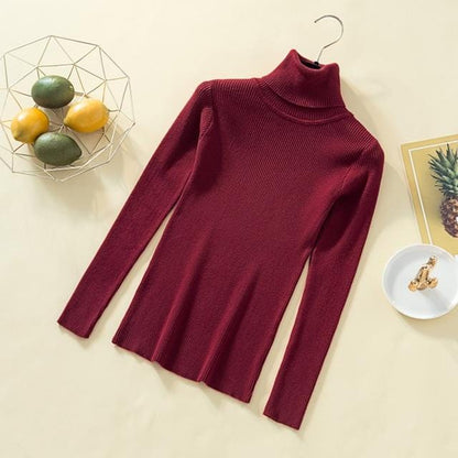 Womens Turtleneck Sweaters