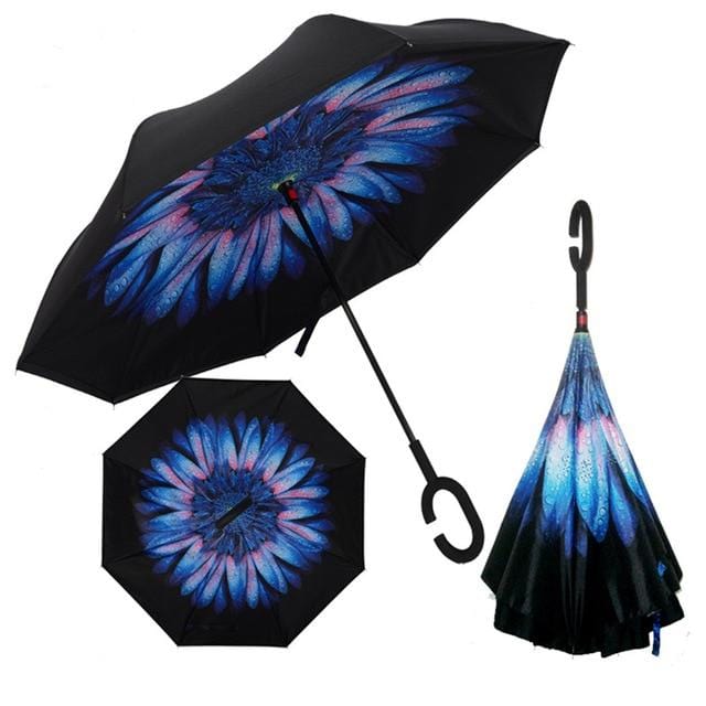 Reversible Umbrella