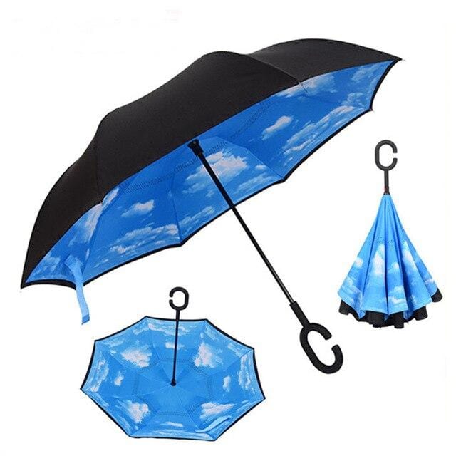 Reversible Umbrella