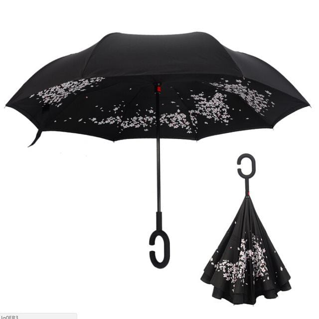 Reversible Umbrella