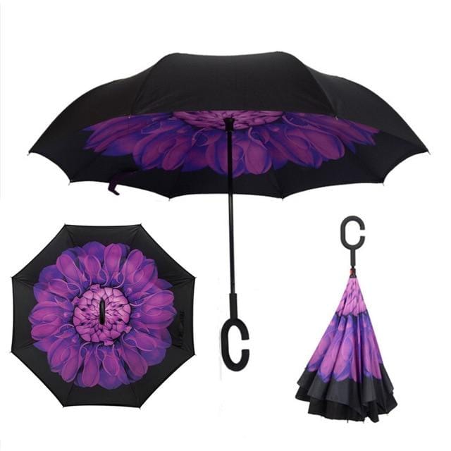 Reversible Umbrella