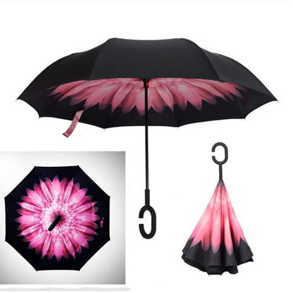 Reversible Umbrella