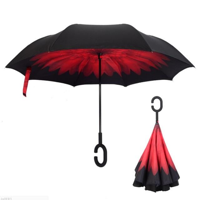 Reversible Umbrella