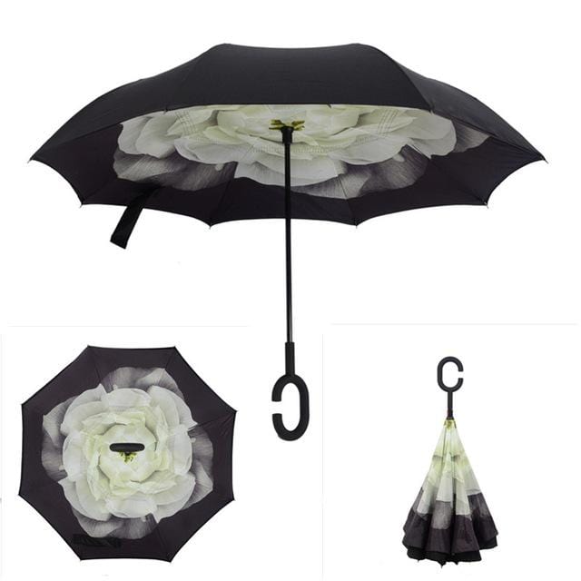 Reversible Umbrella