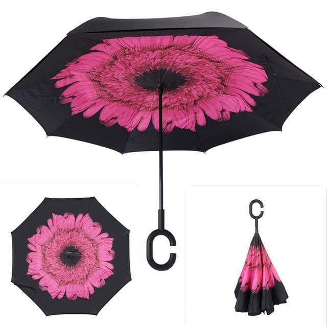 Reversible Umbrella