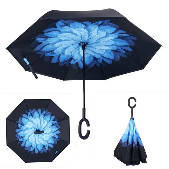 Reversible Umbrella