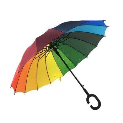 Reversible Umbrella