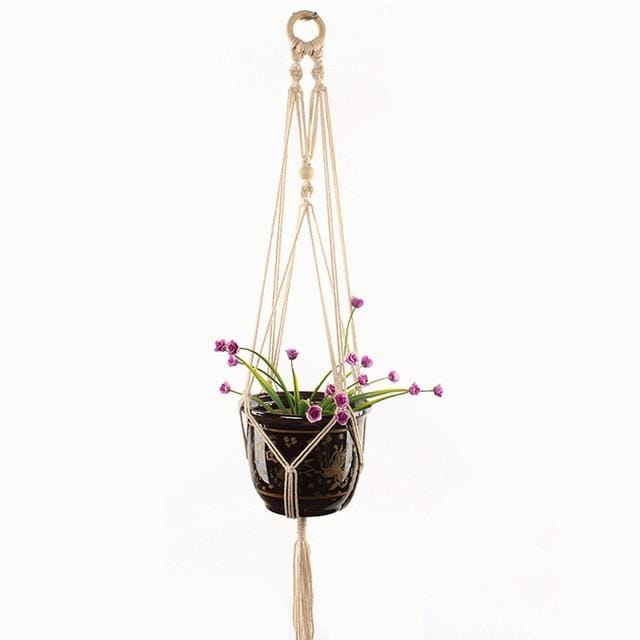 Plant Hangers