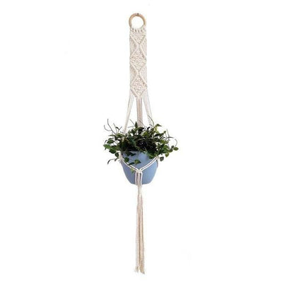 Plant Hangers