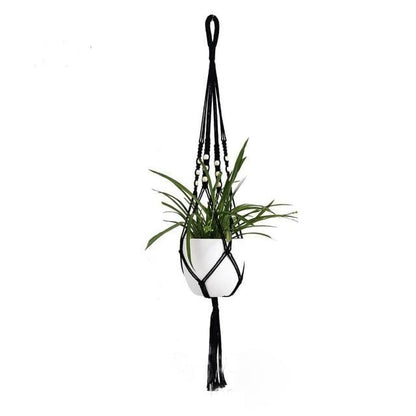 Plant Hangers