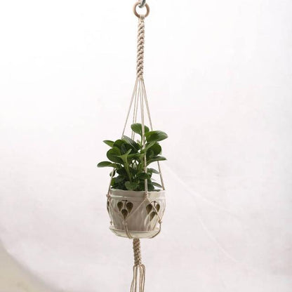 Plant Hangers