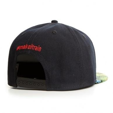 Give me dollars Snapback