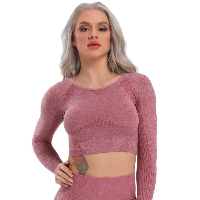 Seamless Yoga Top Long Sleeve