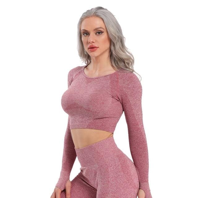 Seamless Yoga Crop Top Long Sleeve