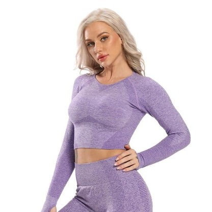 Seamless Yoga Crop Top Long Sleeve