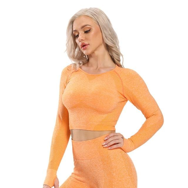 Seamless Yoga Crop Top Long Sleeve