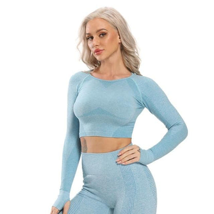 Seamless Yoga Crop Top Long Sleeve