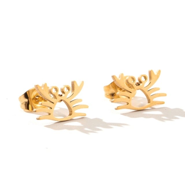 Stud Earrings for Women